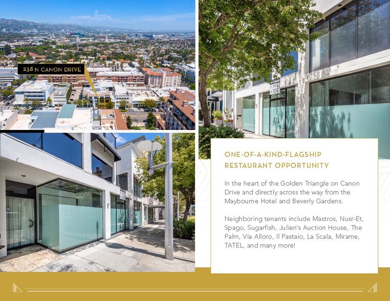 238 N Canon Dr, Beverly Hills, CA for lease - Building Photo - Image 3 of 16