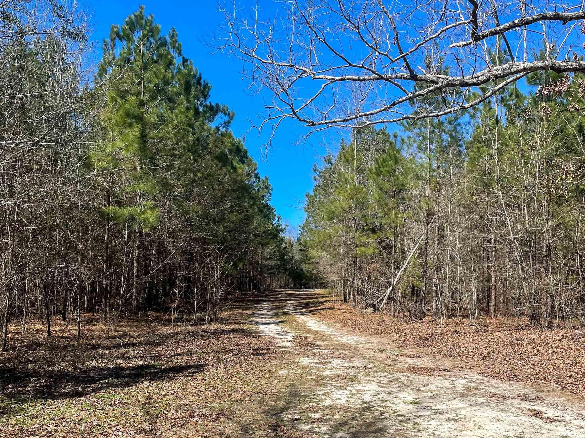 Ebenezer Road, Blackville, SC 29817