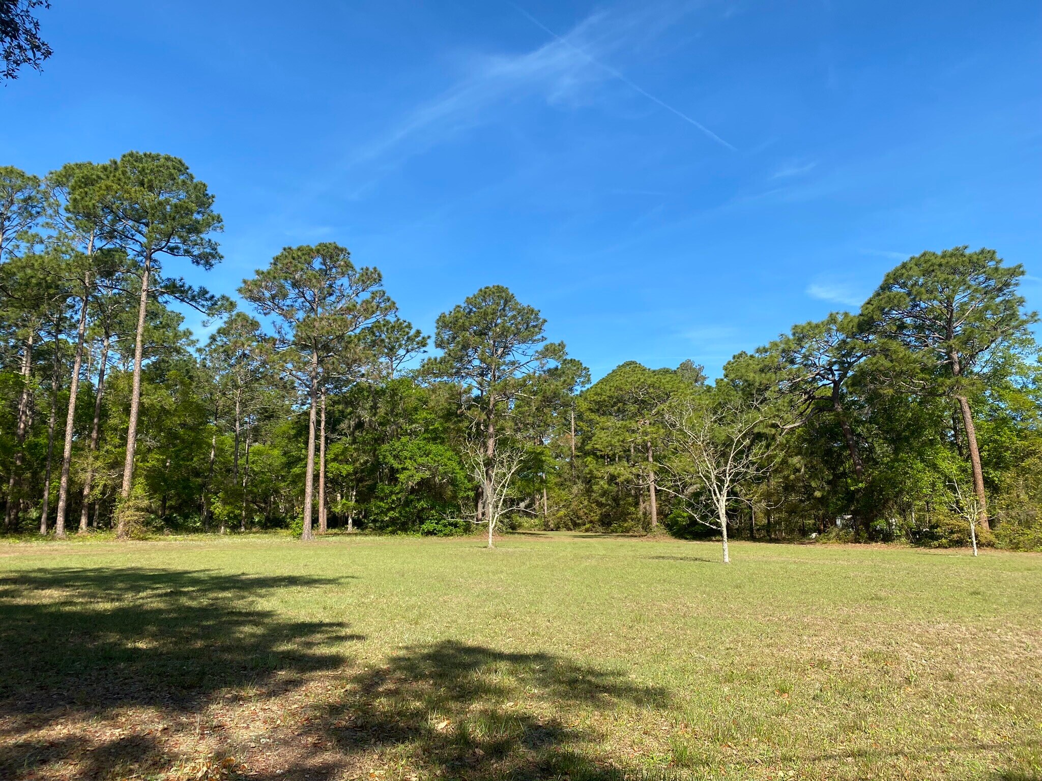 Movies In Yulee Florida - j4orsjm