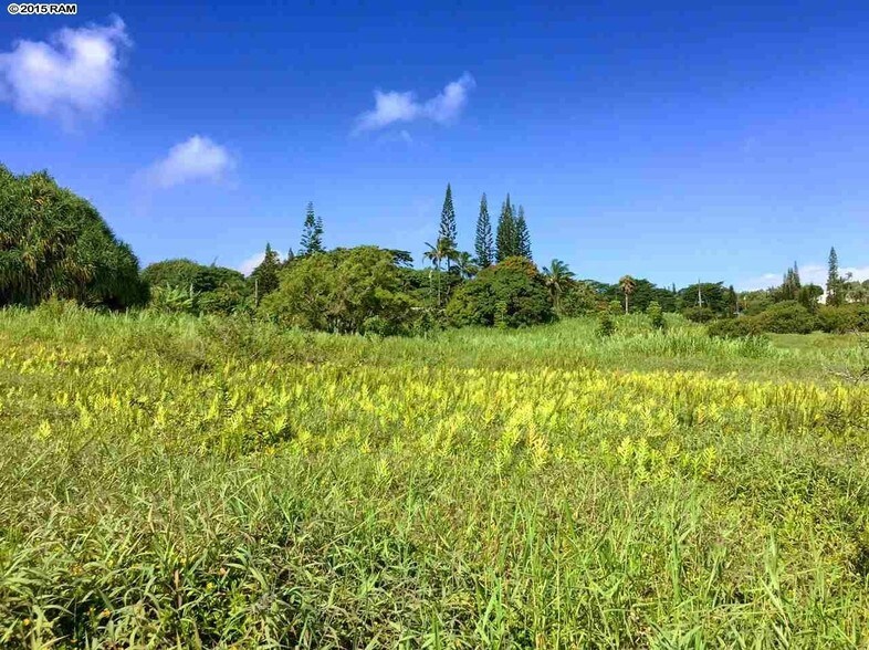 130 S Holokai Rd, Haiku, HI for sale - Primary Photo - Image 1 of 1