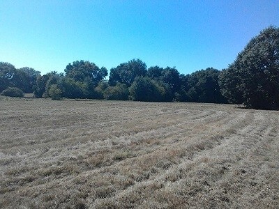 Highway 290 And Hempstead, Hempstead, TX for sale - Primary Photo - Image 1 of 1