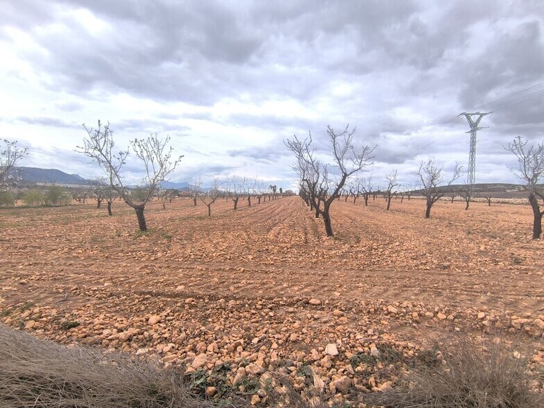 Land in Yecla for sale - Building Photo - Image 2 of 3