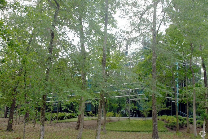 2201 Lake Woodlands Dr, Spring, TX for lease - Building Photo - Image 2 of 5