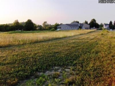 0 NE Commonwealth Ave, Alliance, OH for sale Primary Photo- Image 1 of 1