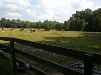 7181 Toogoodoo Rd, Yonges Island, SC for sale - Primary Photo - Image 1 of 1