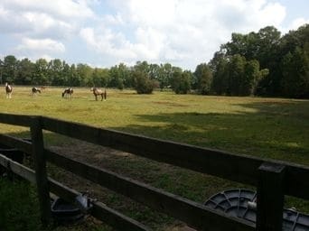 7181 Toogoodoo Rd, Yonges Island, SC for sale Building Photo- Image 1 of 1