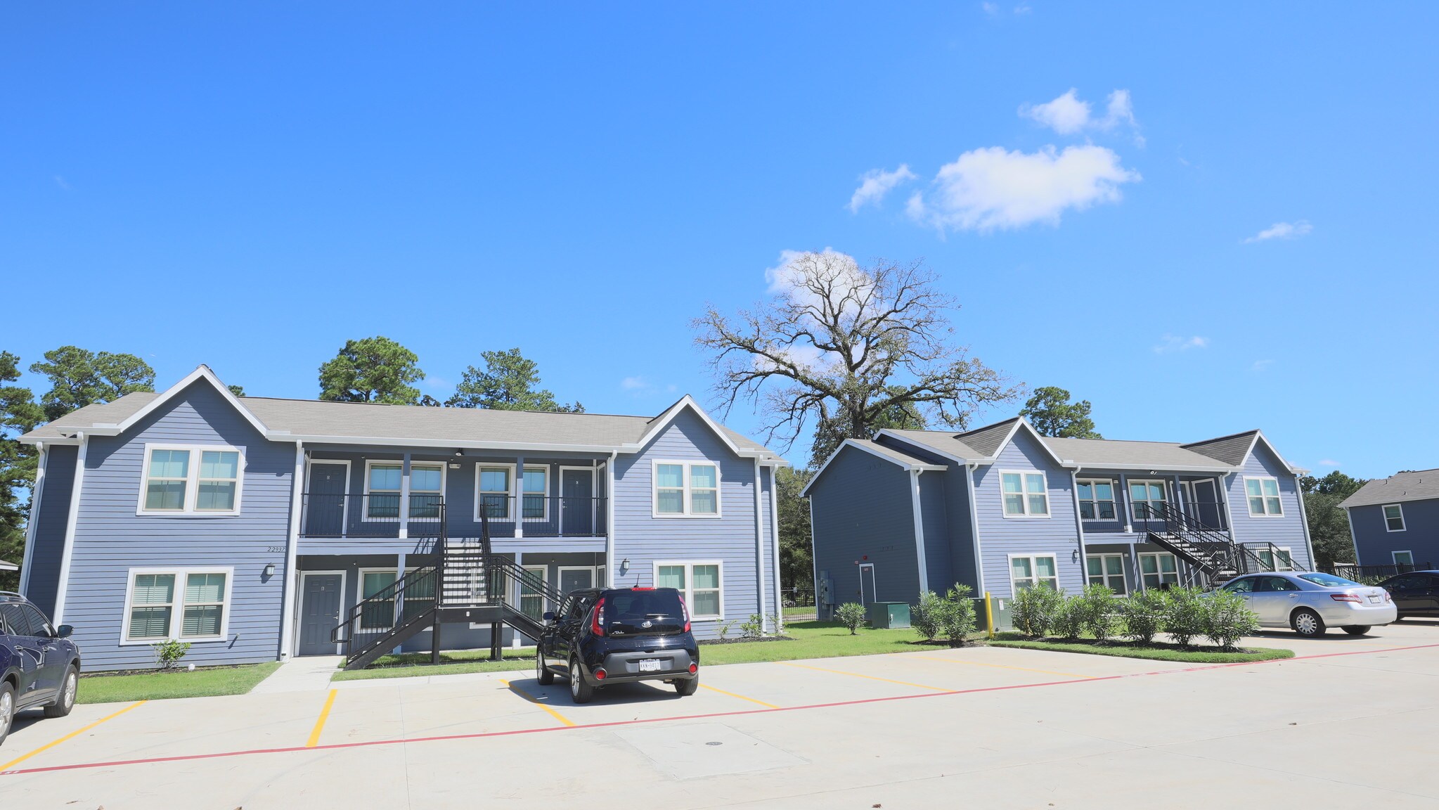 23003 Birnam Wood Blvd, Spring, TX 77373 Esperanza Birnam Woods