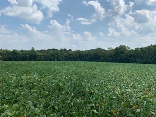 E Steelman Chapel Rd, Patoka, IN for sale Primary Photo- Image 1 of 1