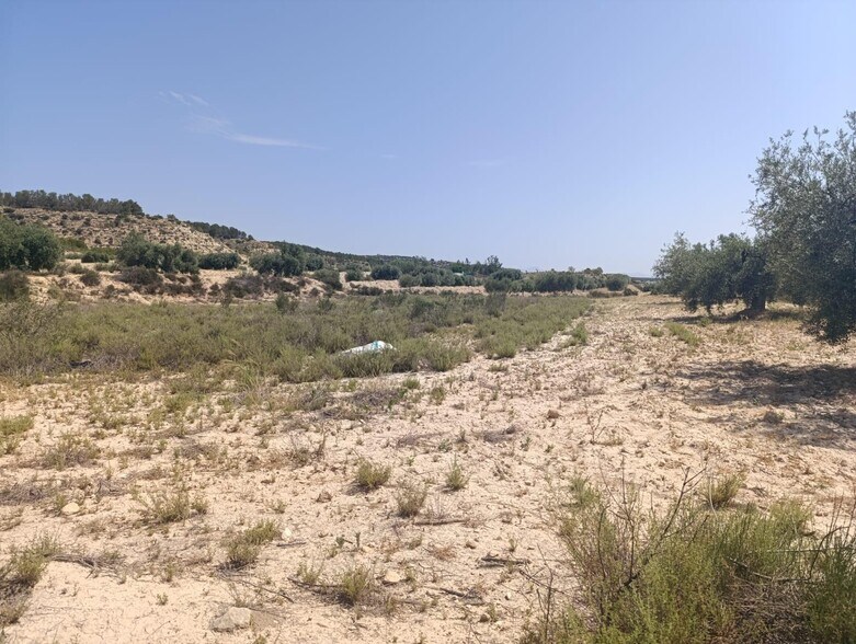 Land in Albudeite, Murcia for sale - Site Plan - Image 2 of 3