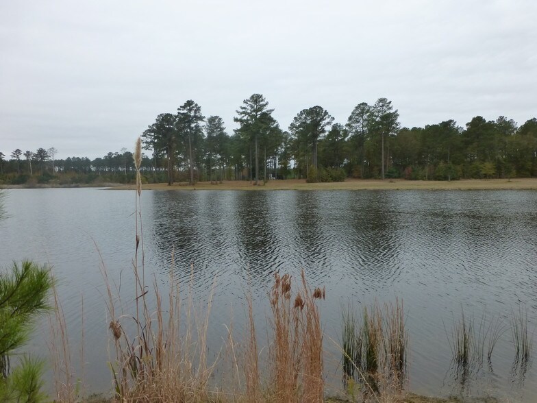 Sandy Creek Rd & Black Bear Rd, Toomsboro, GA for sale - Primary Photo - Image 1 of 1