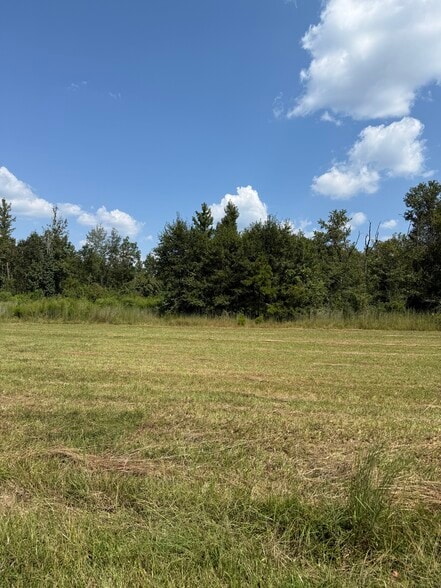 0 ALEX Rd, Gloster, MS for sale - Building Photo - Image 3 of 7