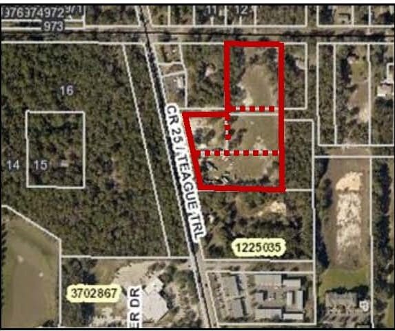 Teague Trl Lady Lake FL 32159 - Teague Trl Lady Lake FL 18 Acres CR 25 Griffin Sale 2020 Lady Lake NLPC Page 2 2 Large 