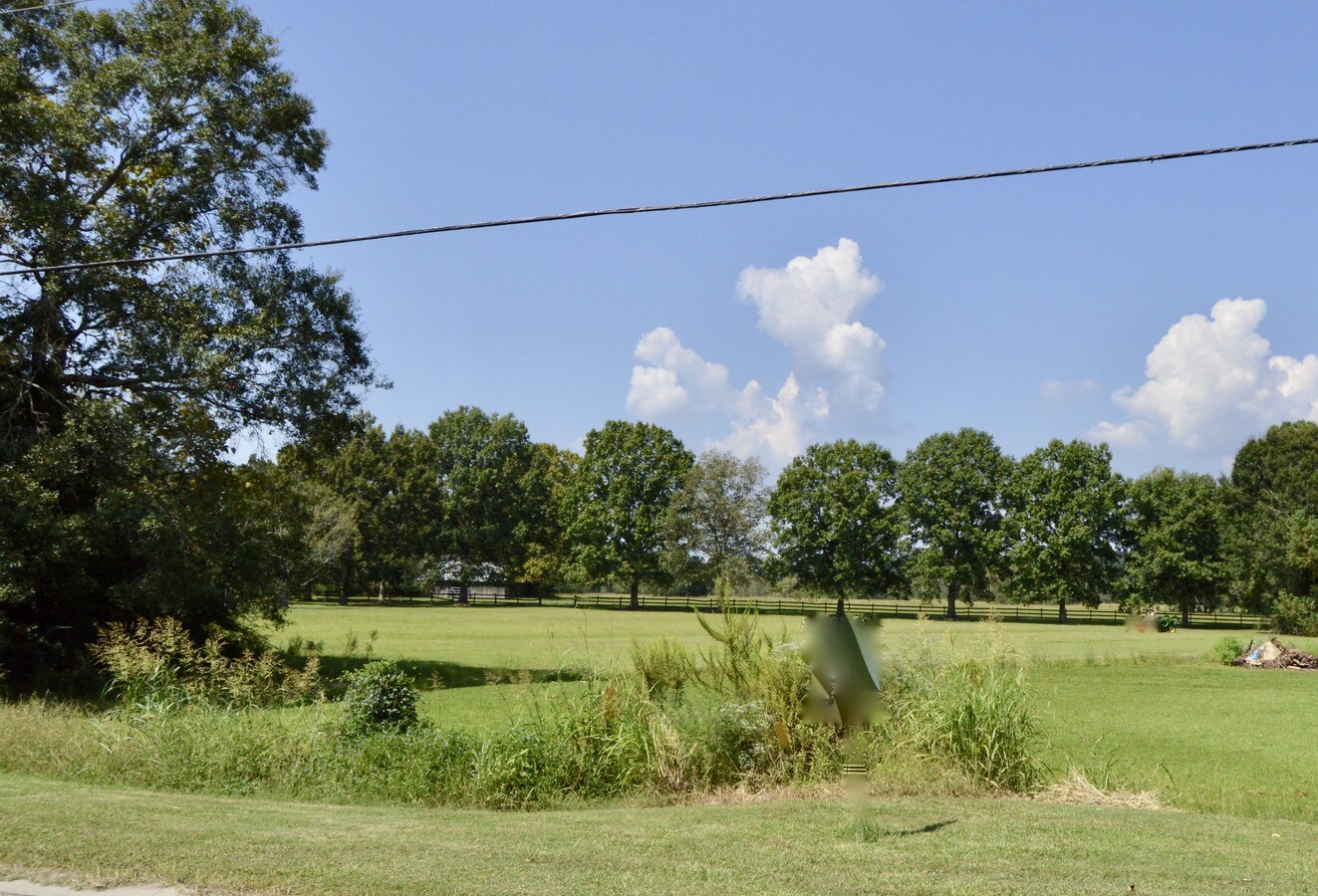 15127 HWY 73, Prairieville, LA 70769