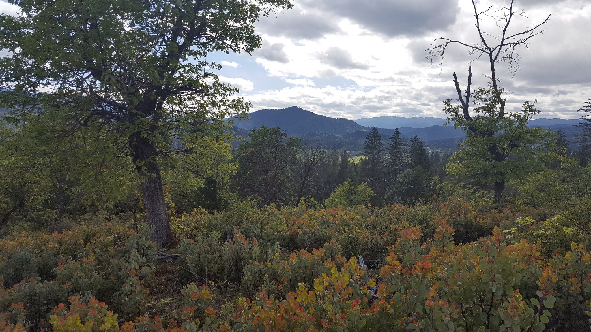 Ridgecrest Dr, Grants Pass, OR for sale Other- Image 1 of 1