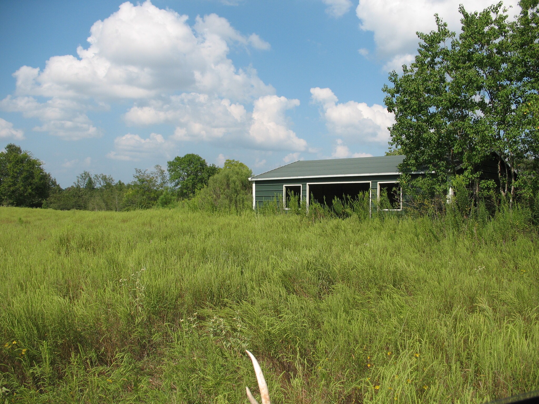 Southwood & Daniel McCall, Lufkin, TX for sale Building Photo- Image 1 of 1