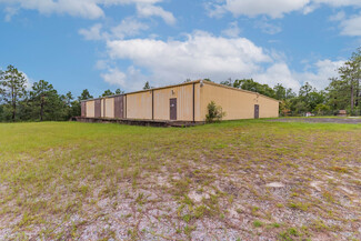 More details for 861 James Dunbar Rd, Pelion, SC - Flex for Sale