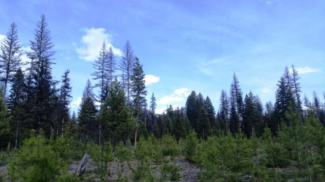 View Photo