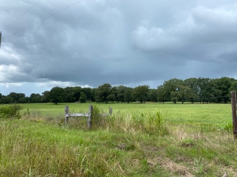 4400 North Frontage Road Rd, Columbus, MS for sale - Primary Photo - Image 1 of 9