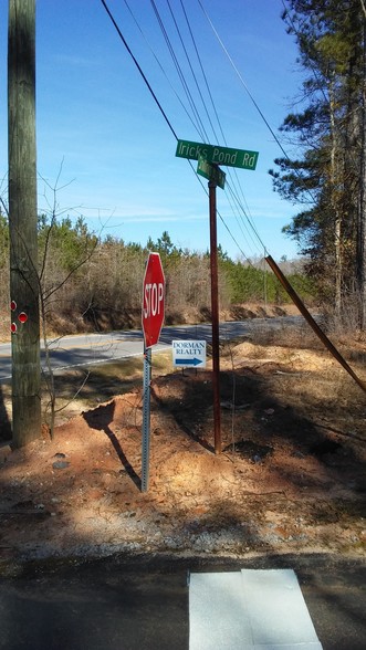 301-351 Iricks Pond Lot D Rd, Orangeburg, SC for sale - Primary Photo - Image 1 of 1