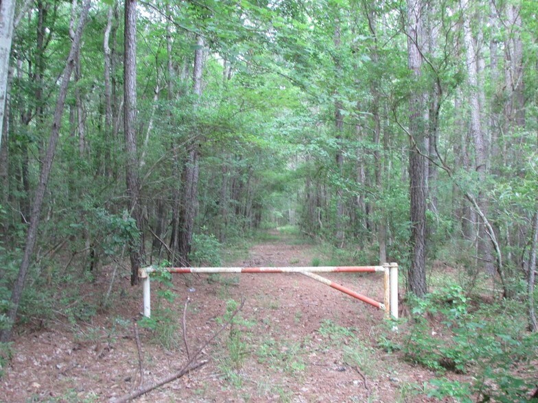 State Highway 6, Moncks Corner, SC for sale - Other - Image 1 of 1