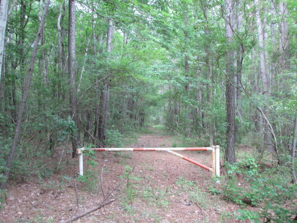 State Highway 6, Moncks Corner, SC for sale Other- Image 1 of 1