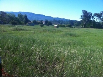 203 E El Roblar Dr, Ojai, CA for sale - Primary Photo - Image 1 of 1