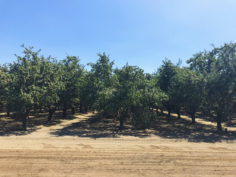 Swc Lyon Avenue & Adams Ave, Mendota, CA for sale - Primary Photo - Image 1 of 4