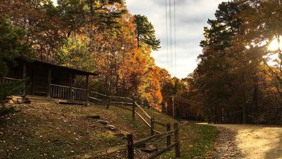 1945 Vineyard Rd, Westfield, NC 27053 Land for Sale