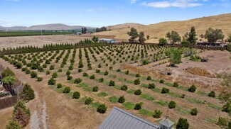 More details for 31946 Road 168, Visalia, CA - Land for Sale