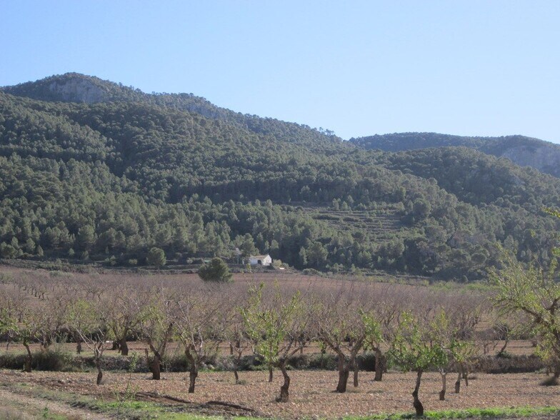 Land in Villena for sale - Building Photo - Image 2 of 8