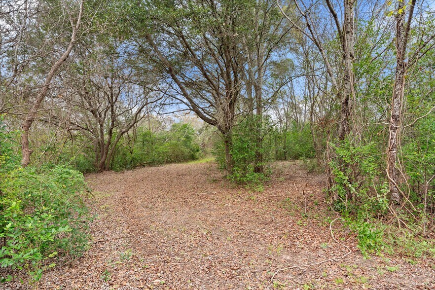 Conception Street Road, Mobile, AL for sale - Other - Image 3 of 7