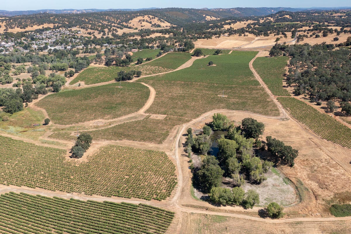 Shenandoah Road, Plymouth, CA for sale Primary Photo- Image 1 of 21
