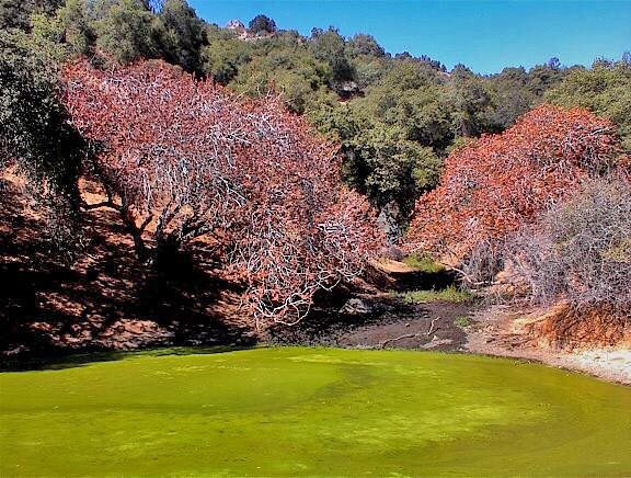 38176 Cardinal, Yokuts Valley, CA for sale - Building Photo - Image 3 of 38