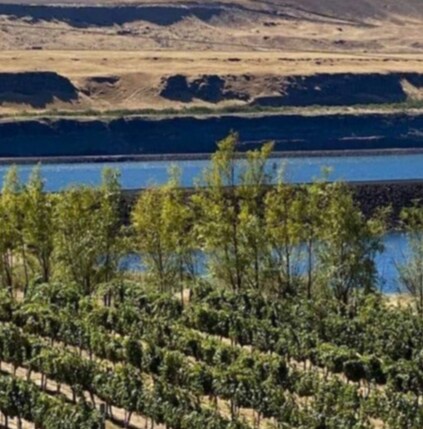 12856 Lewis Clark Trail, Roosevelt, WA for sale Building Photo- Image 1 of 1