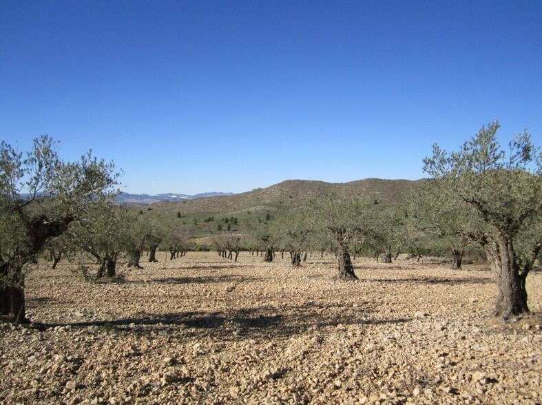Land in Villena for sale - Building Photo - Image 1 of 8