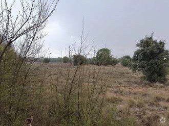 Land in El Provencio, Cuenca for sale - Building Photo - Image 2 of 3