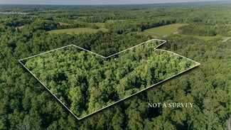 More details for 151 Spence Store Loop, Holladay, TN - Land for Sale