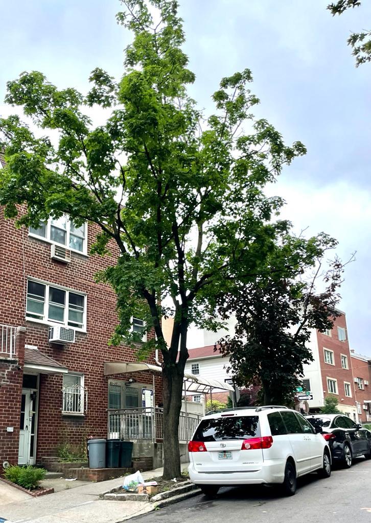 80-27 135th St, Jamaica, NY for sale Building Photo- Image 1 of 1