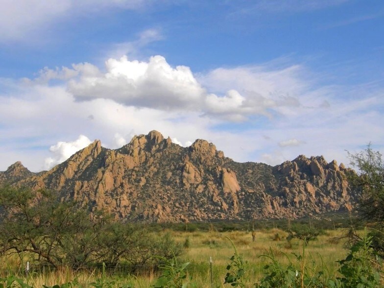 E Diamondback Rd, Saint David, AZ 85630