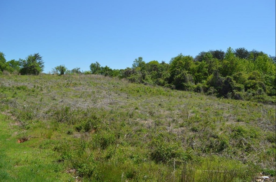 00 Geer Hwy, Travelers Rest, SC for sale - Building Photo - Image 2 of 10