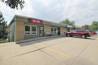 More details for 161 E Saturn Dr, Fort Collins, CO - Office for Lease