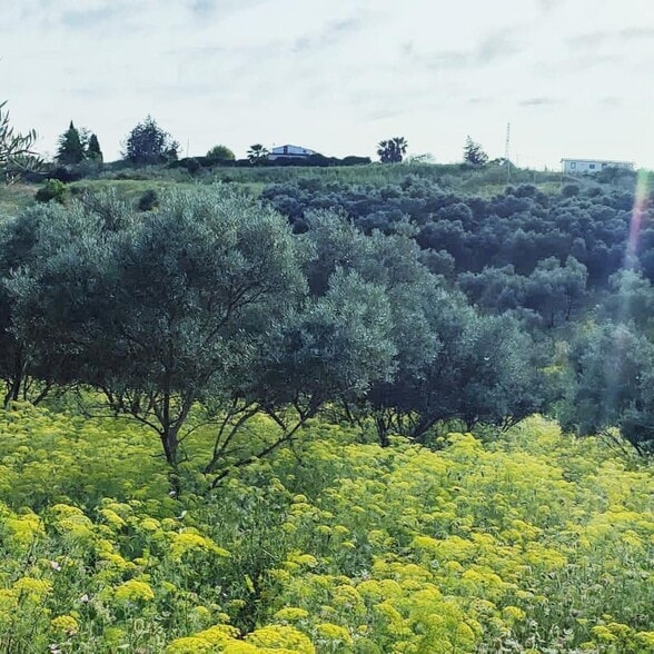 Lugar Polígono 32, 30, Cártama, Málaga for sale - Aerial - Image 1 of 12