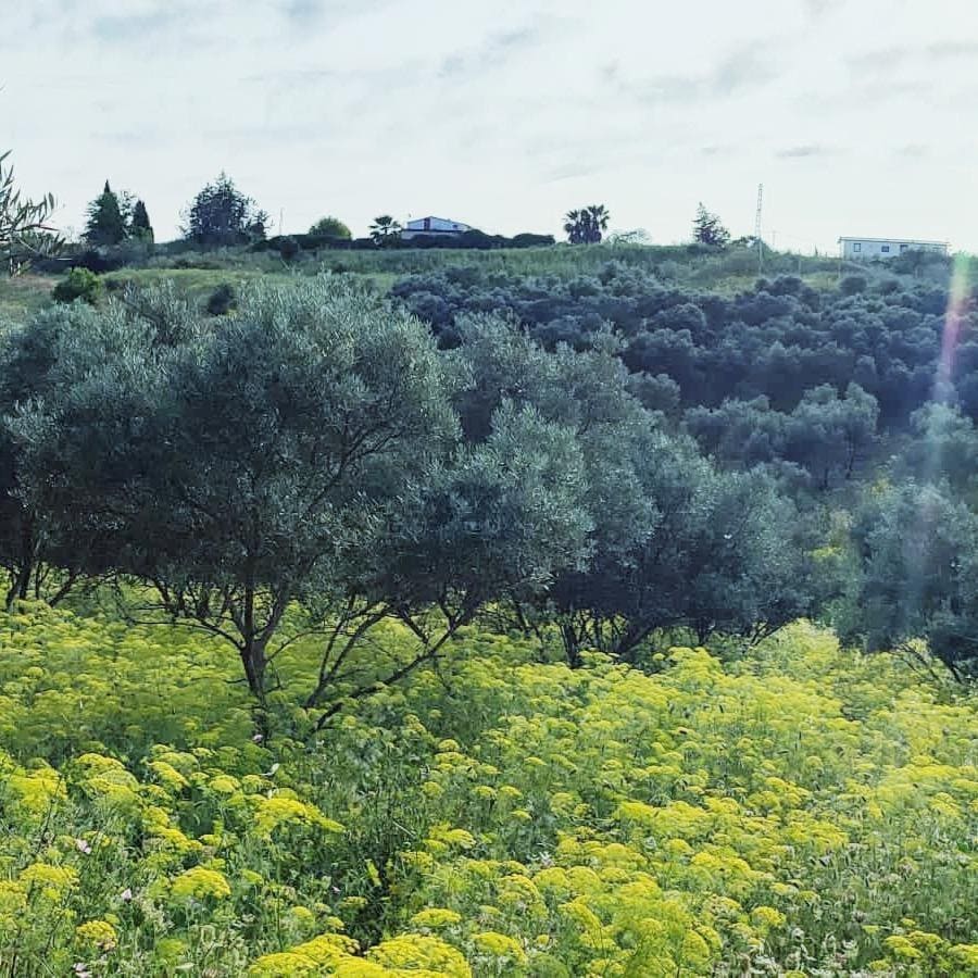 Lugar Polígono 32, 30, Cártama, Málaga for sale Aerial- Image 1 of 13