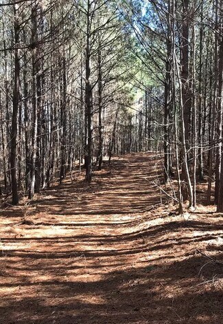 More details for 0 S River Rd, Douglasville, GA - Land for Sale