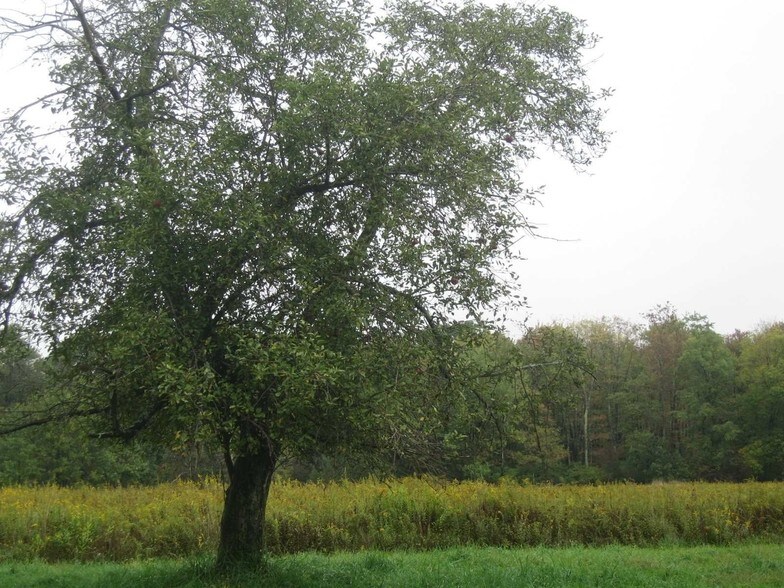 2103 State Route 55, Lagrangeville, NY for sale - Primary Photo - Image 1 of 1