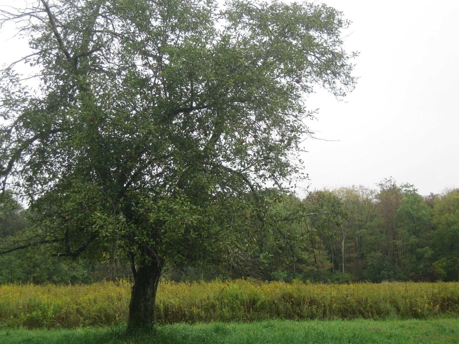 2103 State Route 55, Lagrangeville, NY for sale Primary Photo- Image 1 of 1