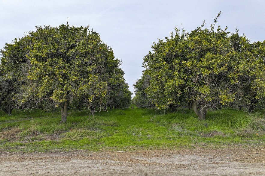 Wallace Road, Mc Farland, CA for sale - Building Photo - Image 2 of 9