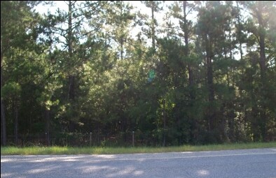0 Ash Branch Rd, Pembroke, GA for sale Primary Photo- Image 1 of 1