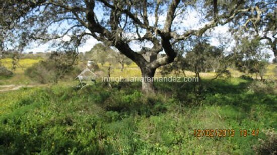 Land in Cáceres for sale - Building Photo - Image 2 of 11