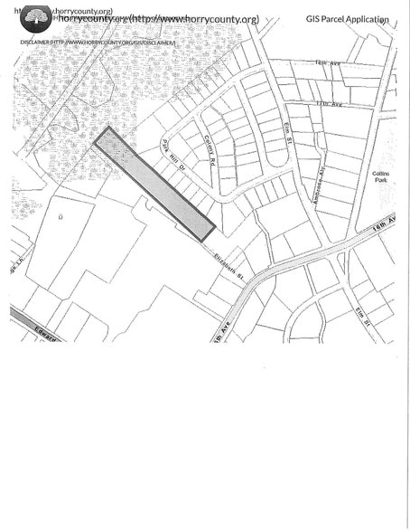 16th Ave & Elizabeth St, Conway, SC for sale - Primary Photo - Image 1 of 2